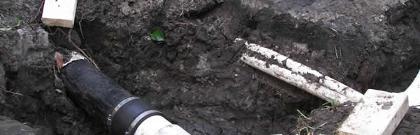 Think before digging when planting